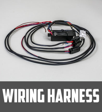 WIRING HARNESSES - BAD DAD SOFTAIL