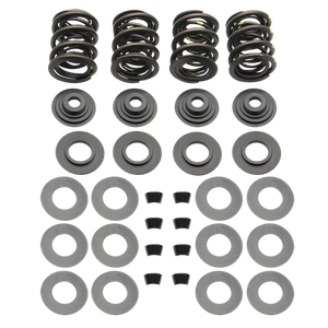 .590" Lift Triple Valve Spring Kit for Late 1981-'84 Big Twin Modelsand All S&S Cylinder Heads