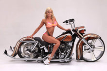Load image into Gallery viewer, Harley Softail Lean Like A Cholo Manual Softail Center Kick Stand Up To 2017
