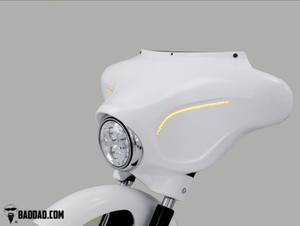 COMPETITION SERIES RAKED FAIRING WITH FLUSH SIGNALS